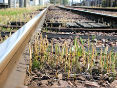 ローカルな線路