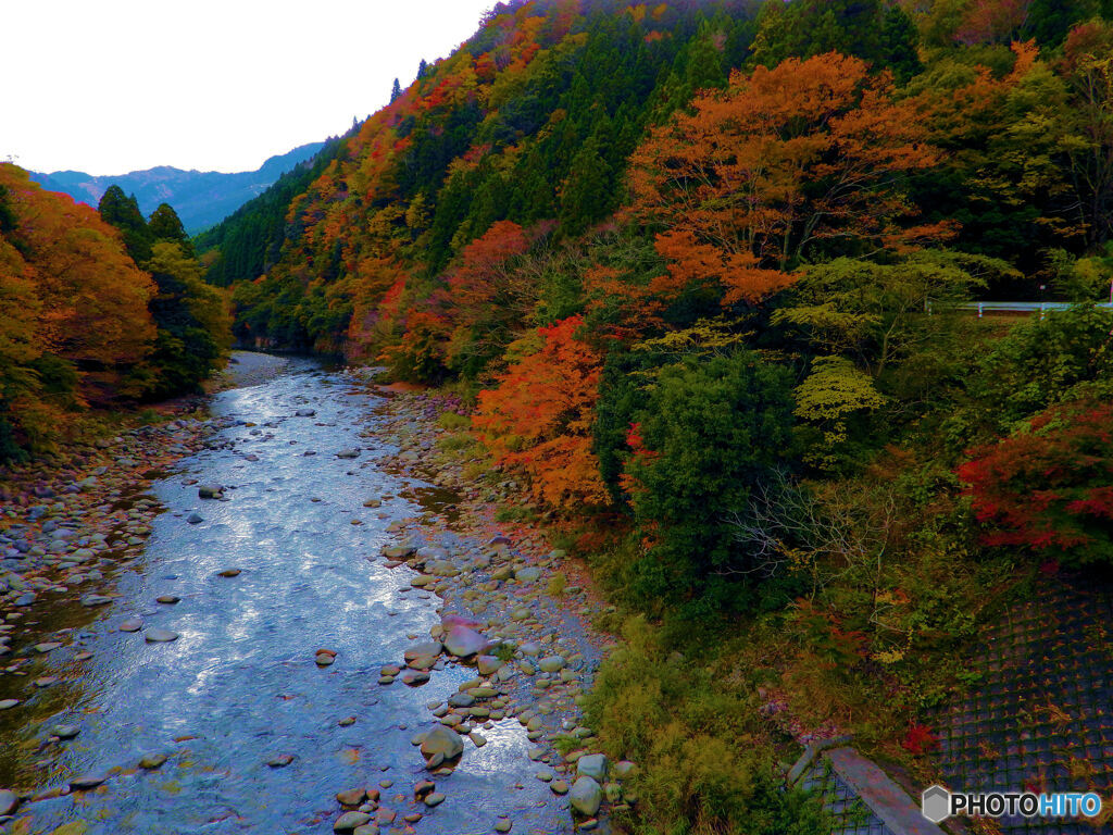 渓流と紅葉