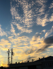 秋空とシルエット♪