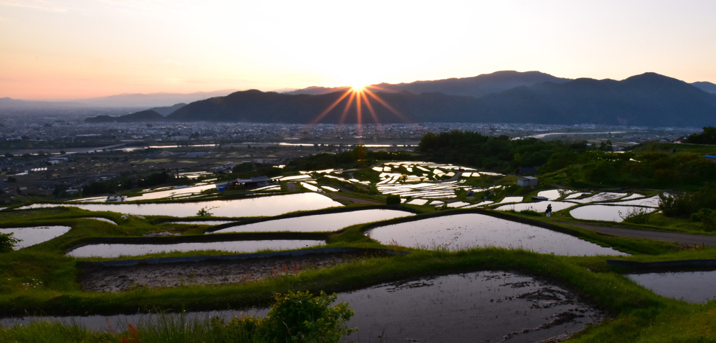 棚田の朝