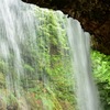 雷滝          裏見の滝