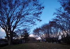 冬に向かって
