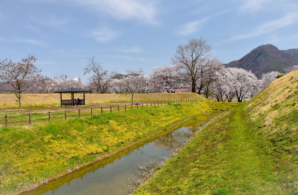 春の目覚め^ ^