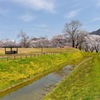 春の目覚め^ ^