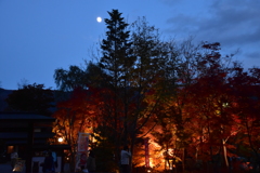 燃えるような紅葉