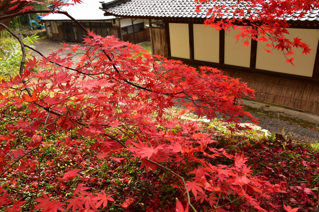 清水寺（  せいすいじ ）②