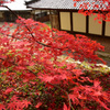 清水寺（  せいすいじ ）②