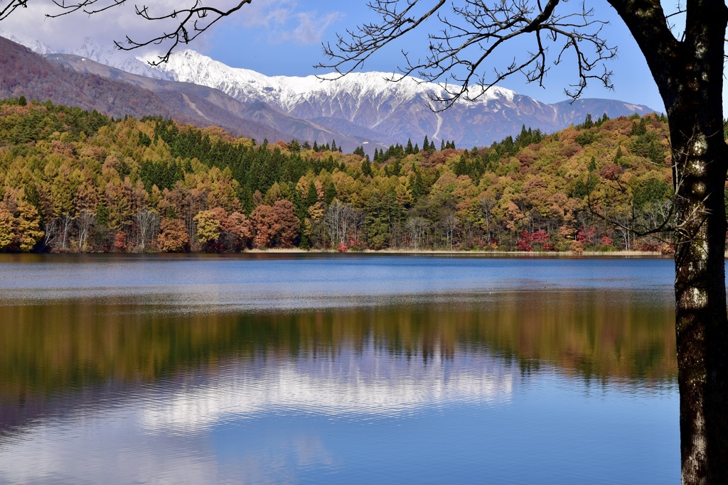 秋から冬へ