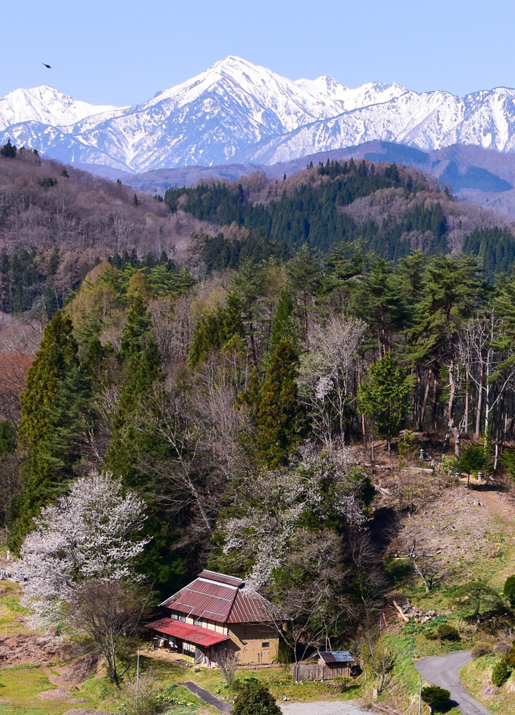 山里の春