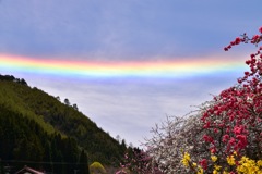 環水平アーク② 願いをのせて