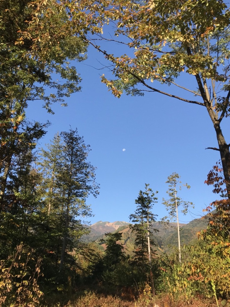 紅葉の間から…