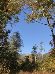 紅葉の間から…