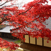 清水寺（せいすいじ ）①