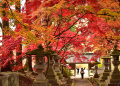 清水寺   （せいすいじ ）