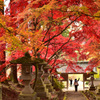 清水寺   （せいすいじ ）