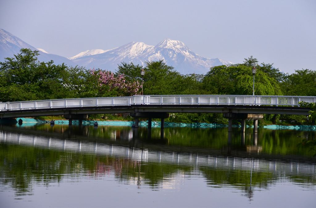 春から初夏へ