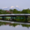 春から初夏へ