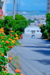 花と道