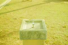 早朝の公園で。