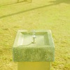 早朝の公園で。