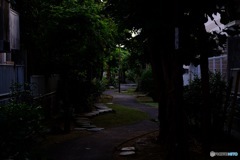 暗所の散歩通り