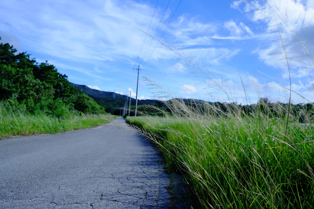 田舎道