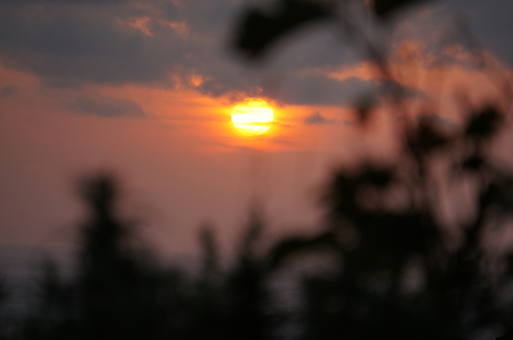 夕日