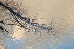 秋
