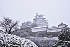 雪！姫路城