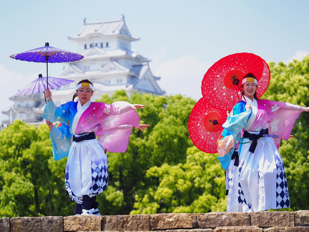 ひめじ良さ恋祭り６