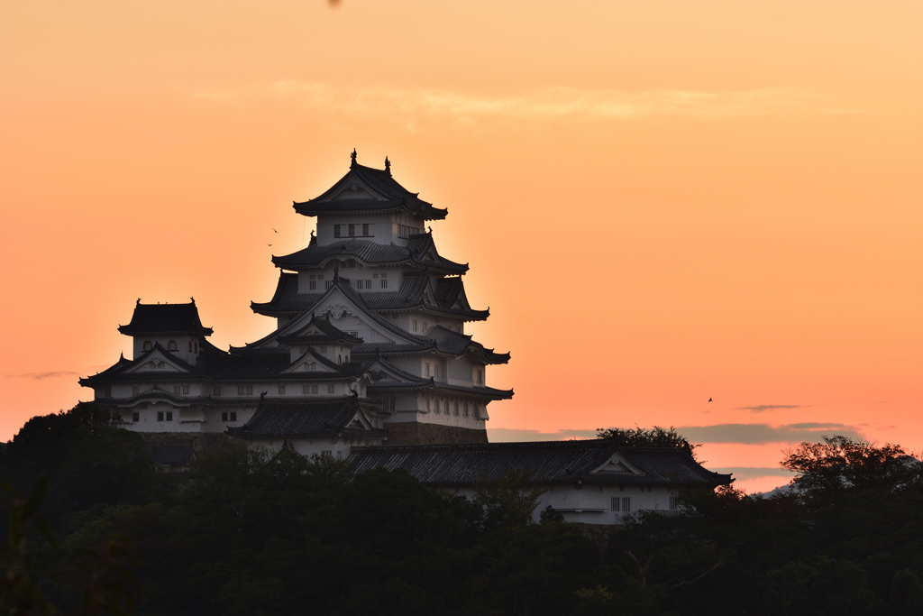 早朝の姫路城