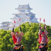 ひめじ良さ恋祭り１３