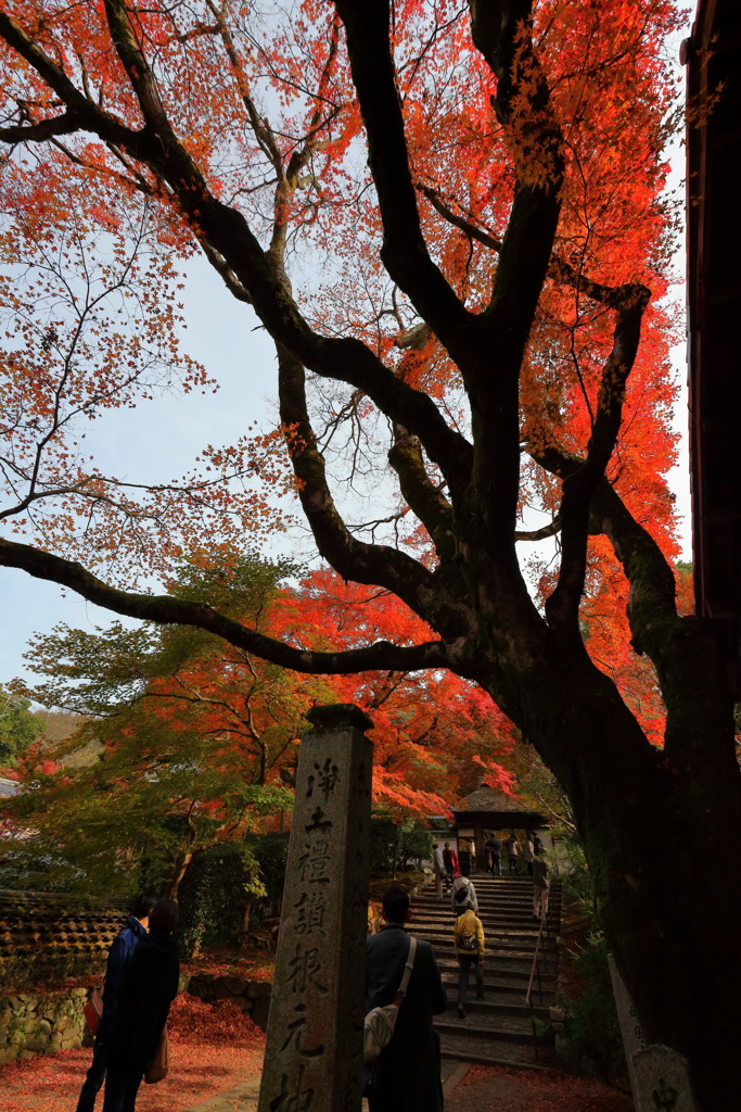 安楽寺