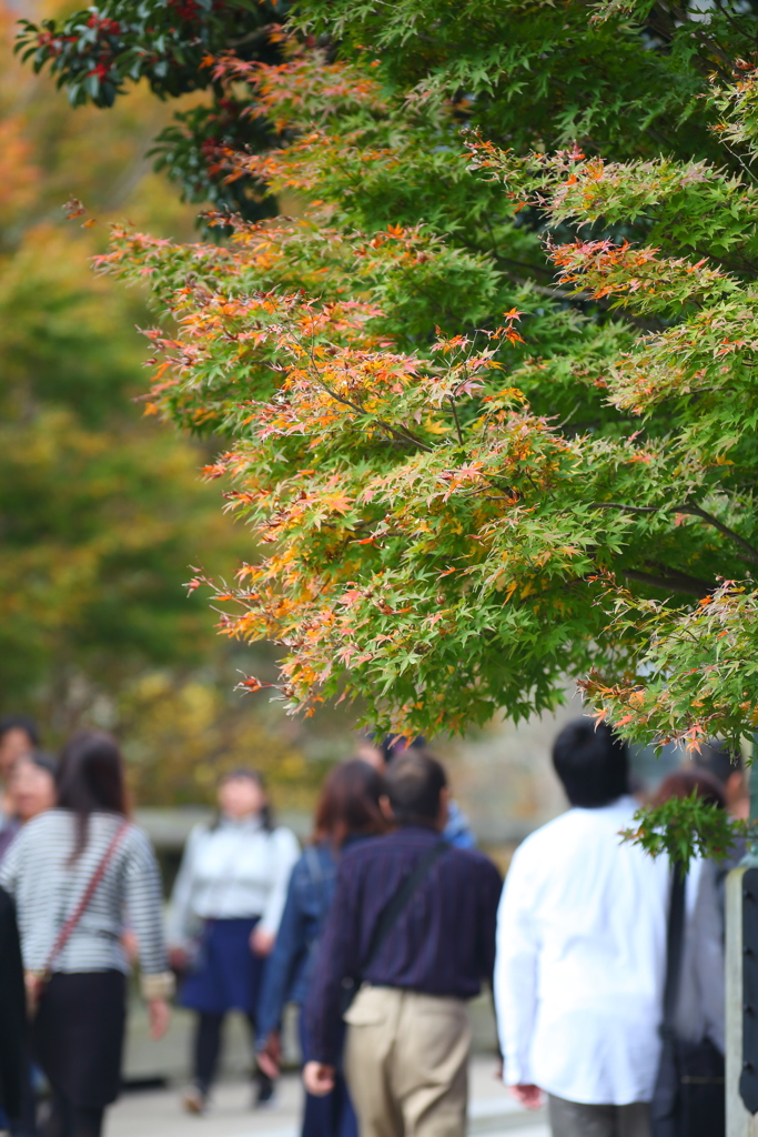 伊勢神宮