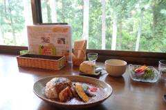 森の中でランチ