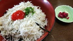 しらす丼