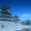 松本城(湖面)