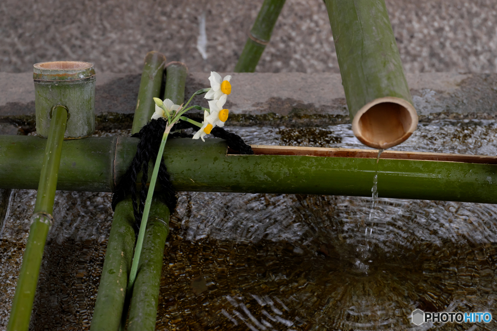 添え花