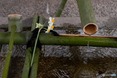 添え花