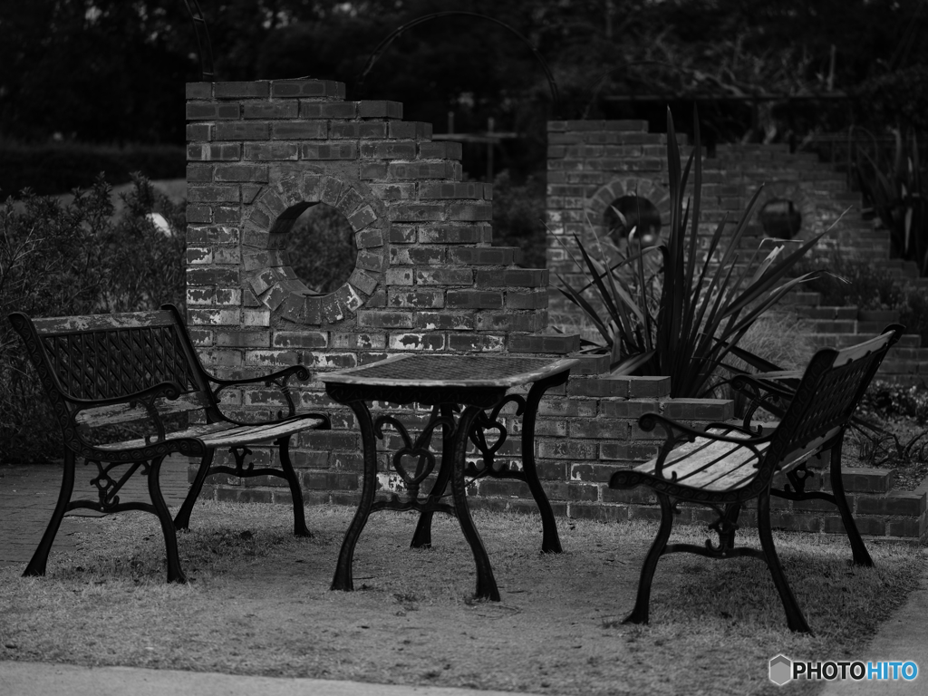 bench