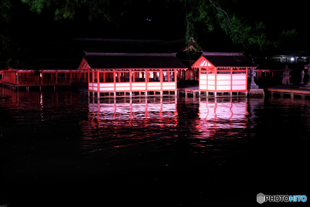 神社ナイト