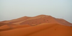 日の出の大砂丘～サハラ砂漠 Erg Chebbi