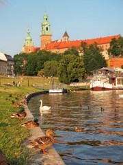 水鳥遊ぶ川畔～ポーランド Wawel Castle