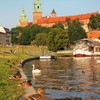 水鳥遊ぶ川畔～ポーランド Wawel Castle