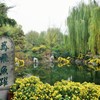 鳶飛魚躍～中国 Hawk flies and fishes leap