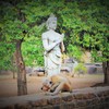 煩悩即菩提～スリランカ仏教彫刻 Kleshas & Bodhi