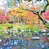 「秋はもみじの永観堂」～京都  Eikan-dō Autumn Leaves