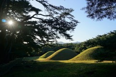 三陵の陰翳～韓国 Gyeongju Samneung