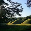三陵の陰翳～韓国 Gyeongju Samneung