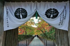 もみじ参道 Komyoji Temple’s Momiji-sando